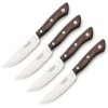 Tramontina - Churrasco Bueno Steak Knife Set 4pce -Cutipol Shop 438413 Large